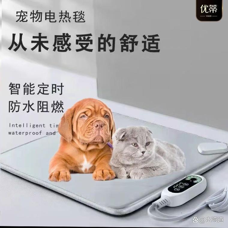 冬天狗狗睡外面会冷吗