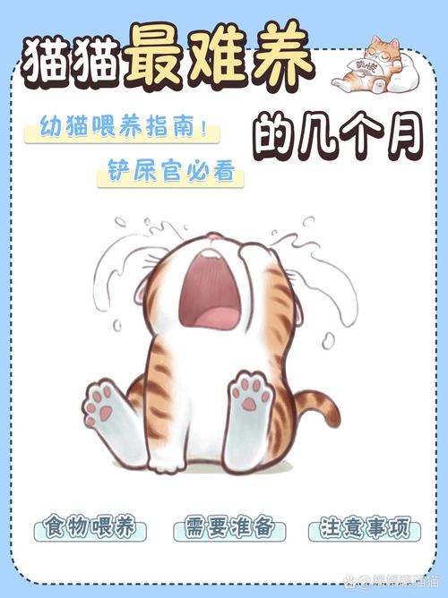 猫最难养的几个月|幼猫喂养注意