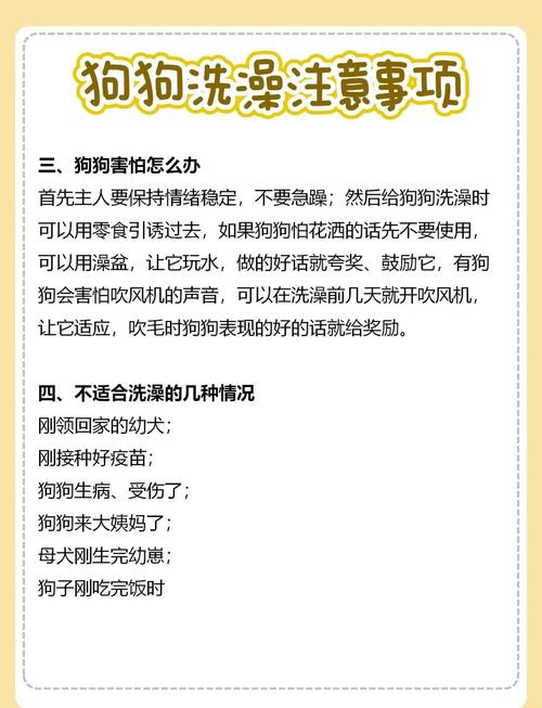 狗狗刚满月可以洗澡吗?