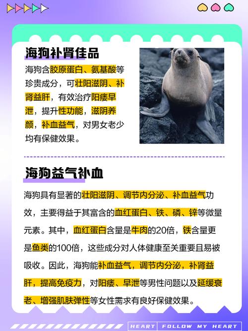 狗狗吃海带有啥好处