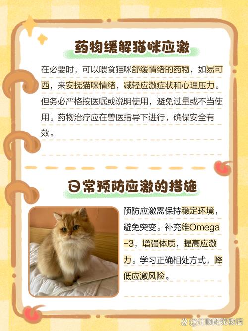 猫惊吓过度的症状怎么才能缓解