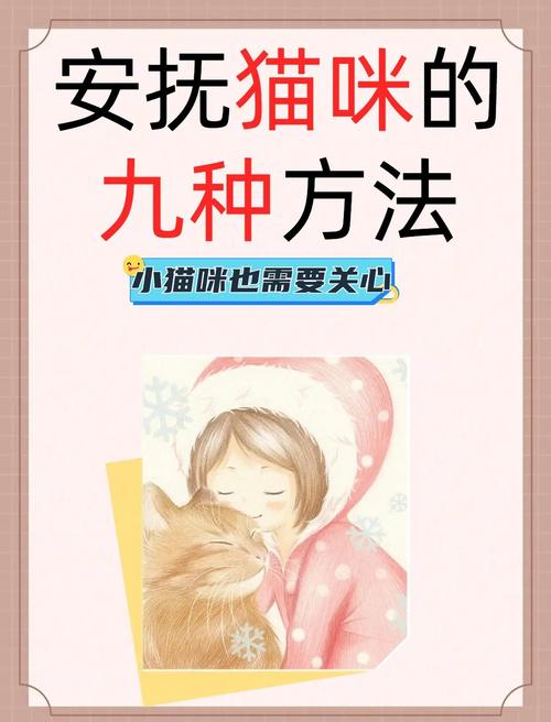 受惊吓的猫咪如何安抚