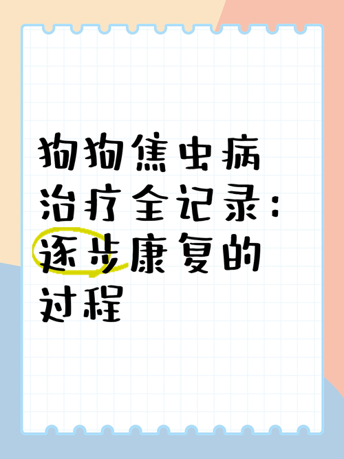 狗狗焦虫病晚期