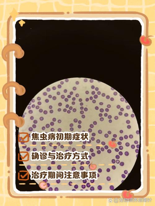 狗狗焦虫病的症状和治疗方法