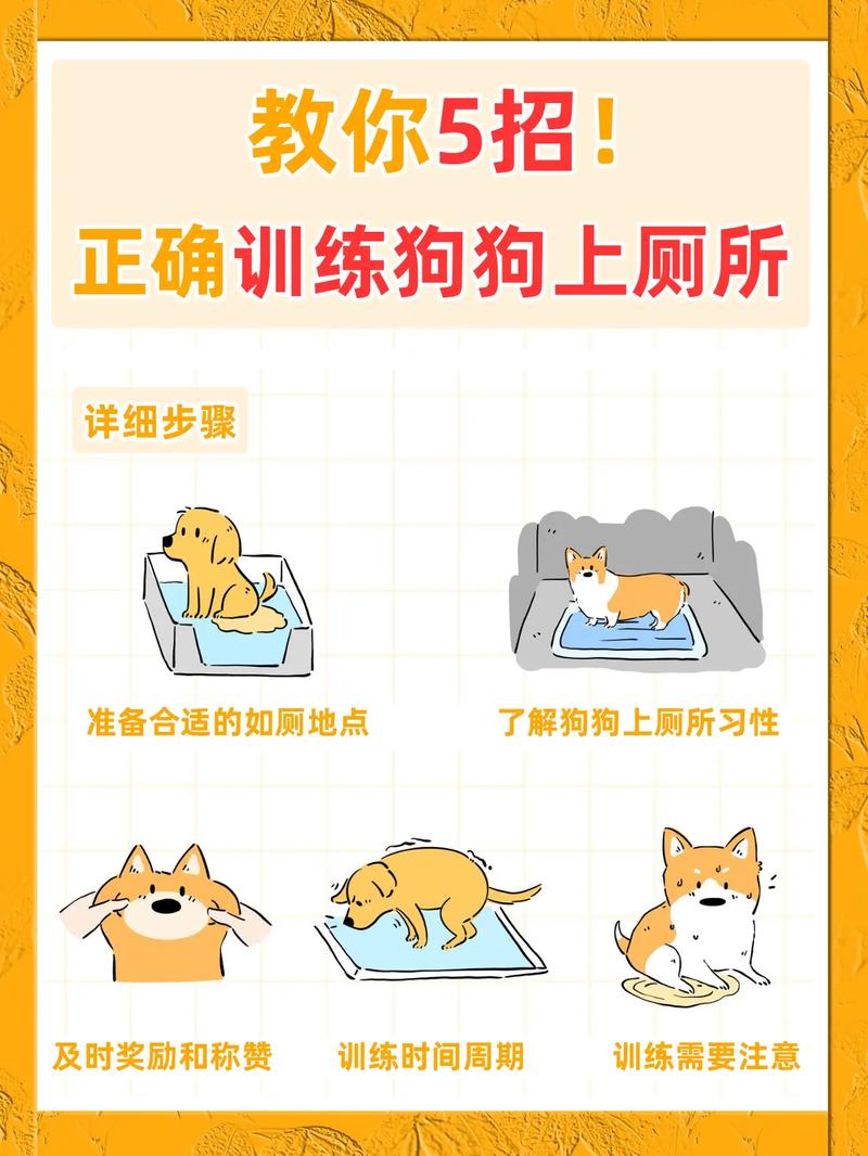 怎么教会狗狗自己上厕所?