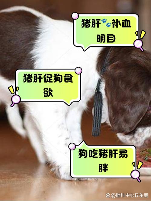 狗狗猪肝吃多了会怎样