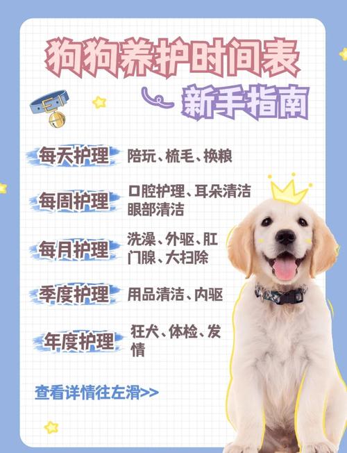 狗狗几个月开始能刷牙