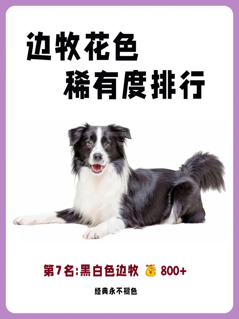 犬类品种大全