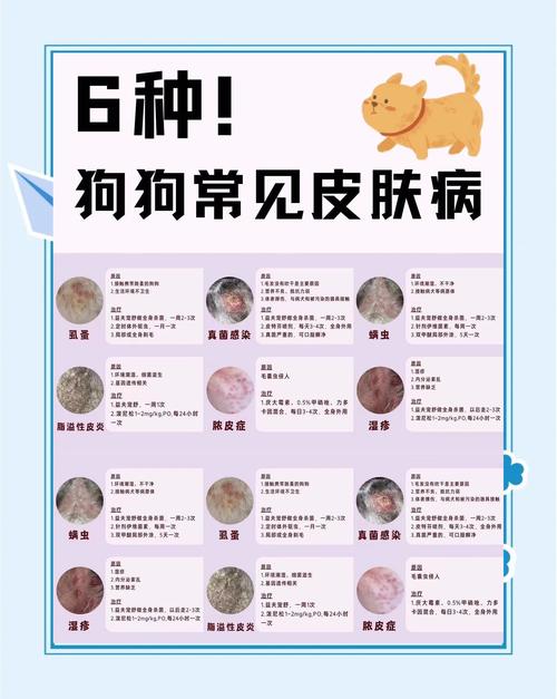 治疗狗狗皮肤病要多少钱