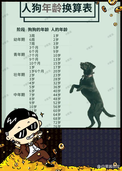 狗狗八岁相当于人几岁