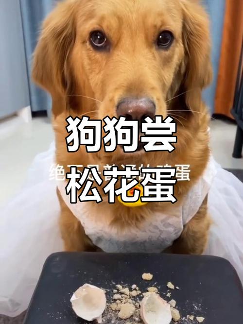 狗吃皮蛋会怎么样?