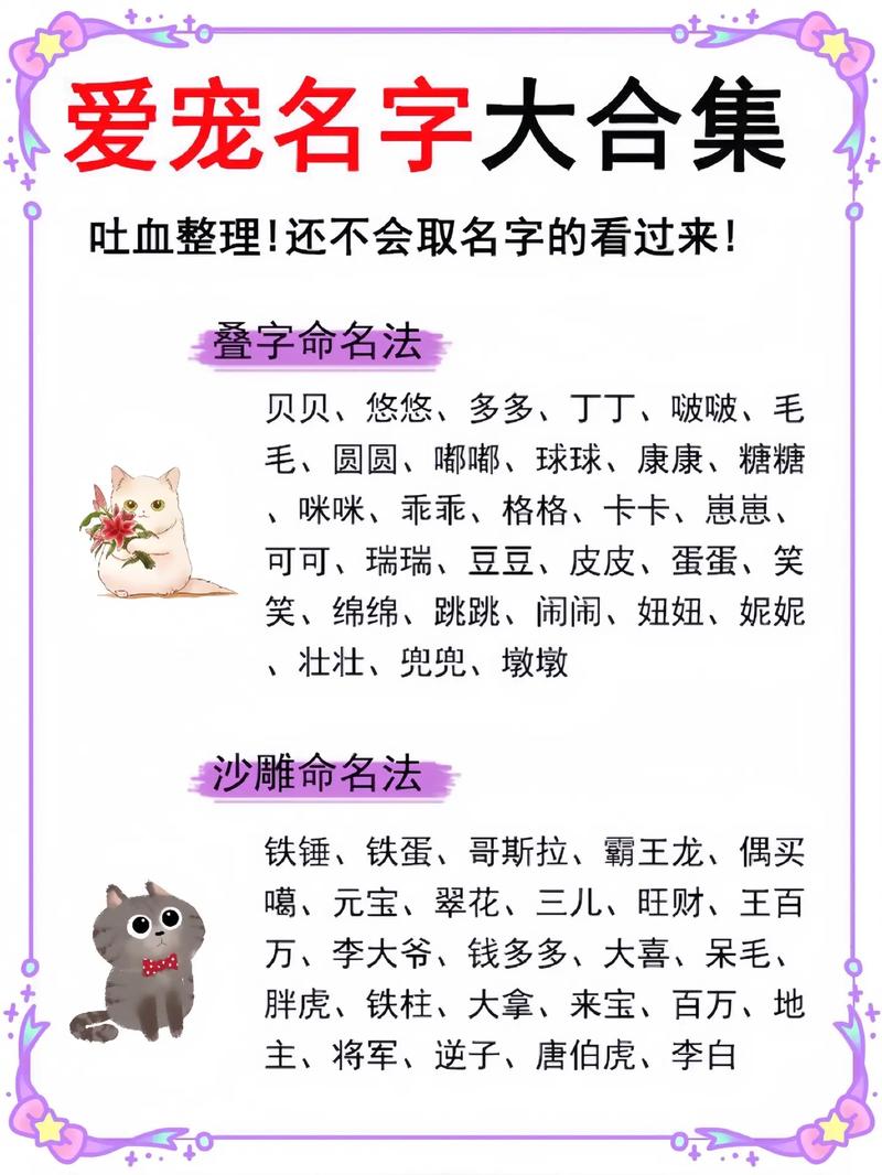 猫取名招财又吉利的名字