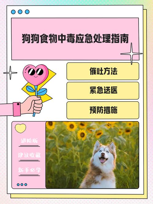 狗狗吃樱桃中毒怎么办?