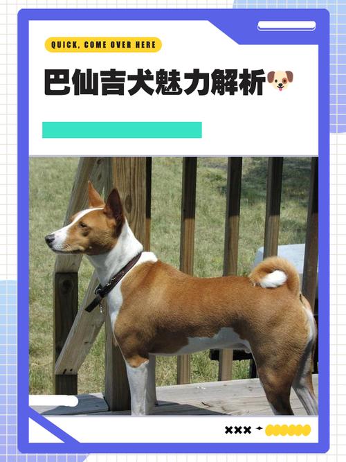 狗吃樱桃怎么补救