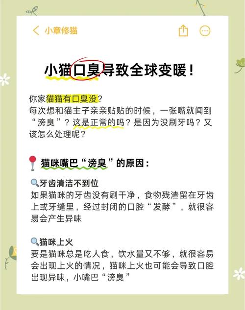 猫咪口臭是什么原因