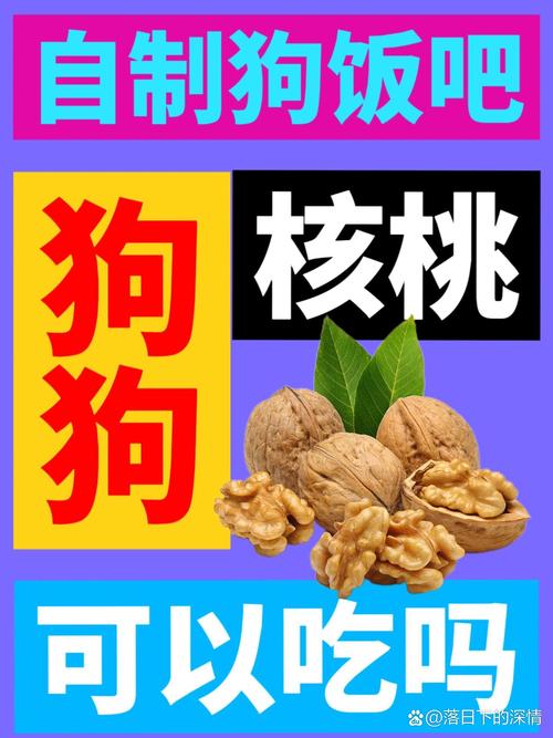 狗狗能吃核桃不
