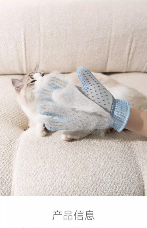 猫咪疯狂掉毛,这4招轻松解决