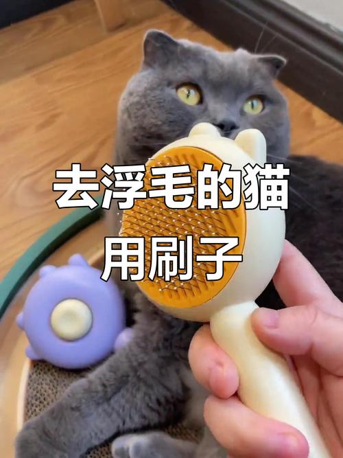 怎么让猫尽量不掉毛?