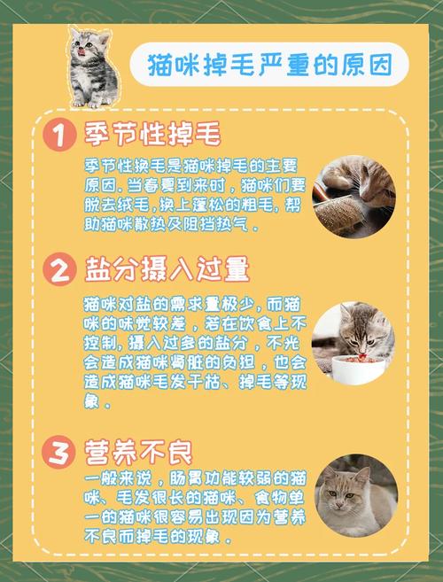 怎么让猫不掉毛