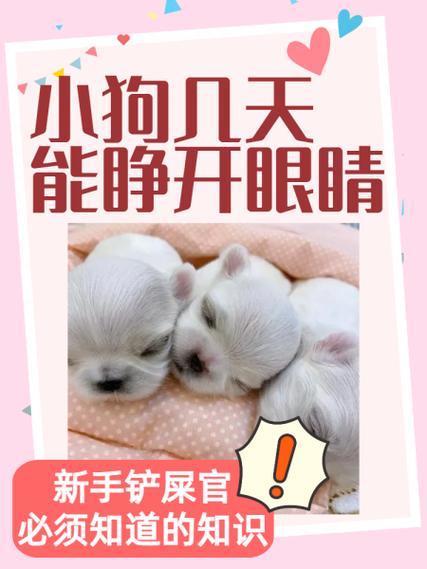 小狗狗生下来是7天扒开眼睛还是等它自己睁开眼睛啊