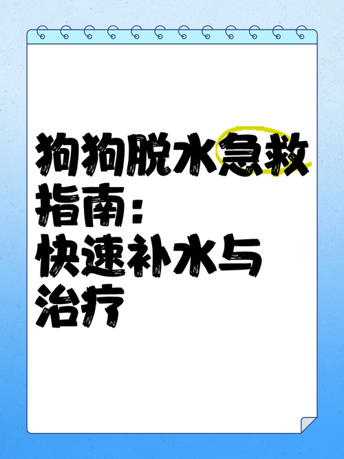 狗狗脱水了怎么快速补水