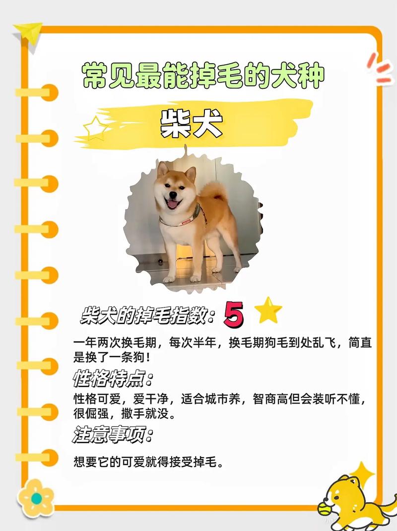 狗狗什么时候开始掉毛