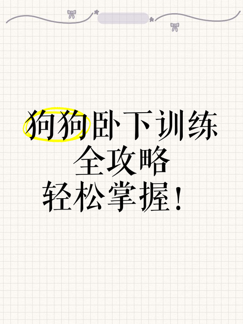如何训练狗狗趴下?