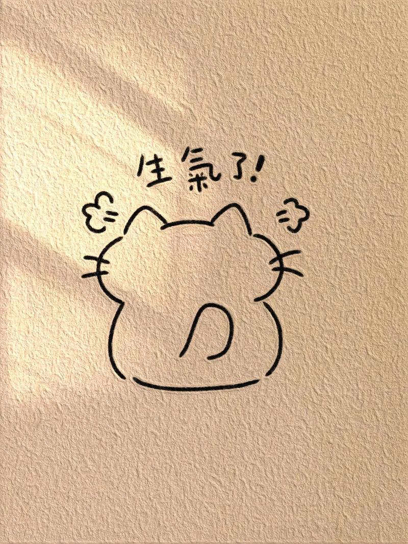 猫咪生气了怎么办