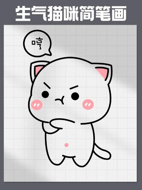 猫咪生气了,主人该如何哄呢?