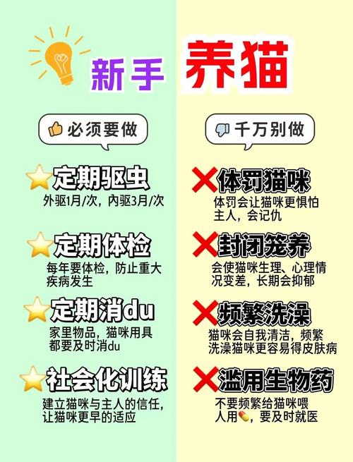 超详细养猫攻略|关于猫咪绝育的那些事