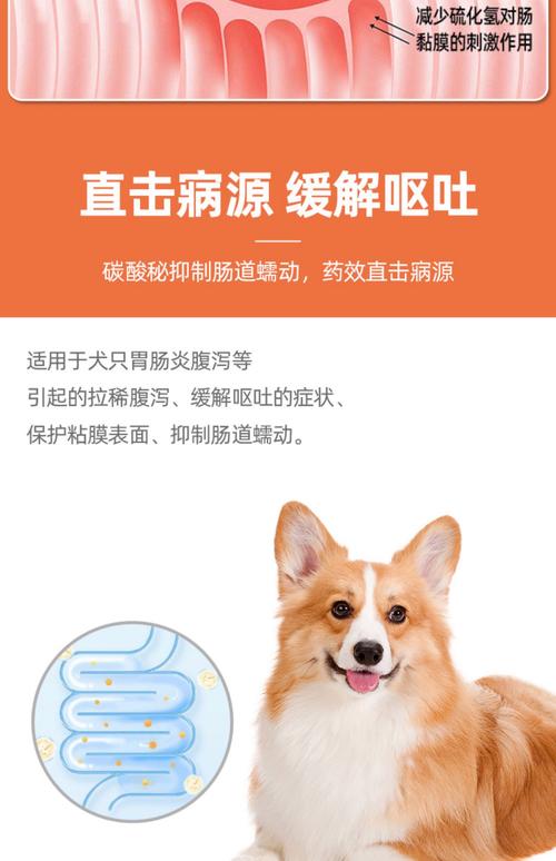 狗狗打喷嚏吃什么药