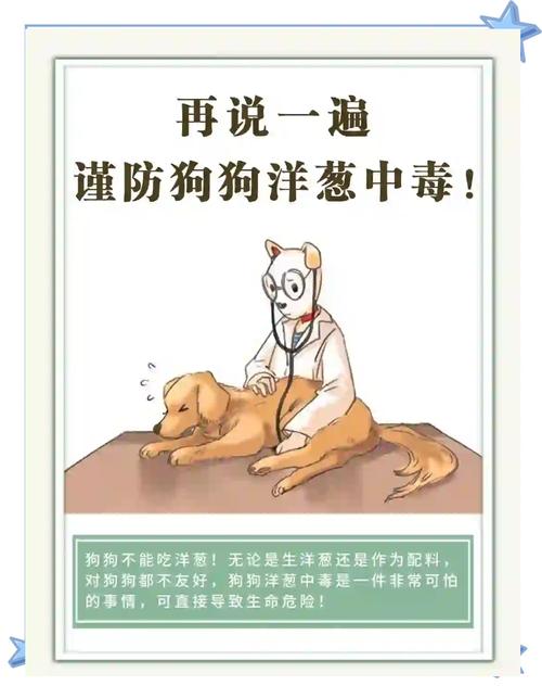 狗狗吃到与洋葱炒的肉会不会死