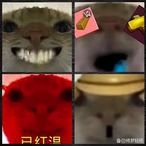 把猫咪放猫包里可以上地铁吗?有什么依据?