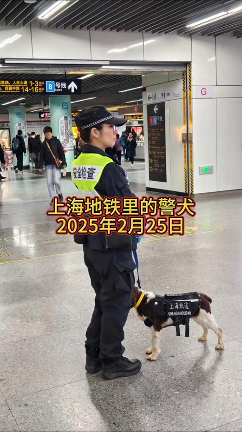 宠物可以上地铁吗