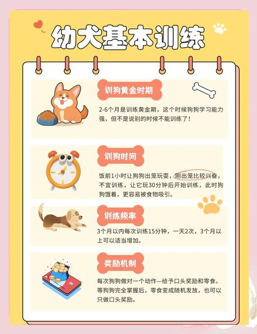 狗狗应该几岁开始训练?一两个月不可以吗?