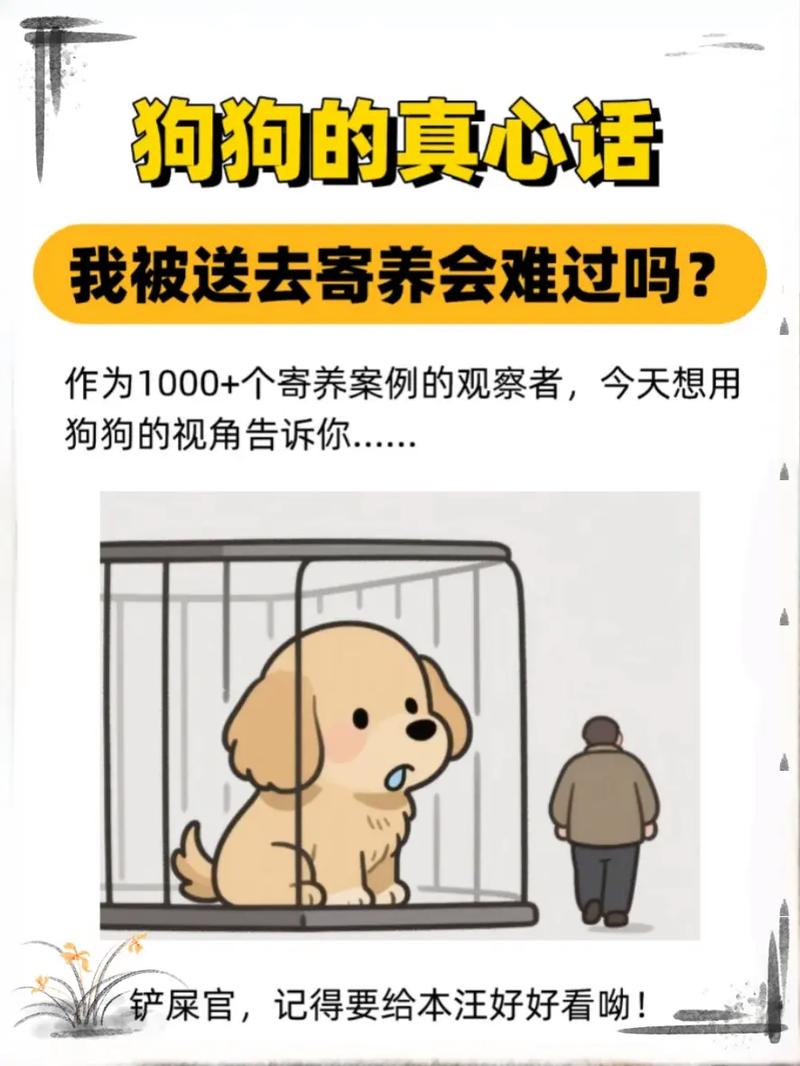 狗子被寄养(会不会觉得主人不要(狗狗寄养回来不理主人)