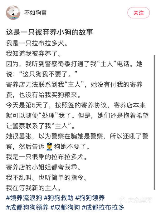 狗狗被寄养会想主人吗