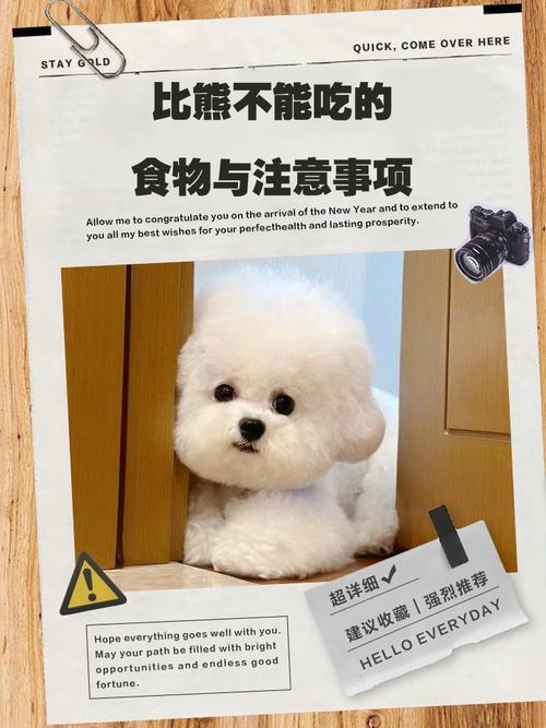 比熊吃了苹果核怎么办!!好担心!她趁我不在家的时候去偷吃的!!急...