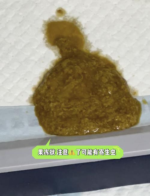 狗狗咳嗽流鼻涕拉稀