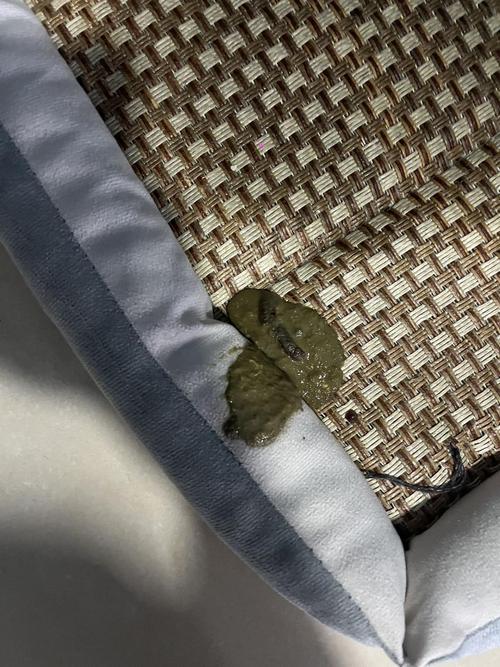 狗狗咳嗽呕吐拉稀