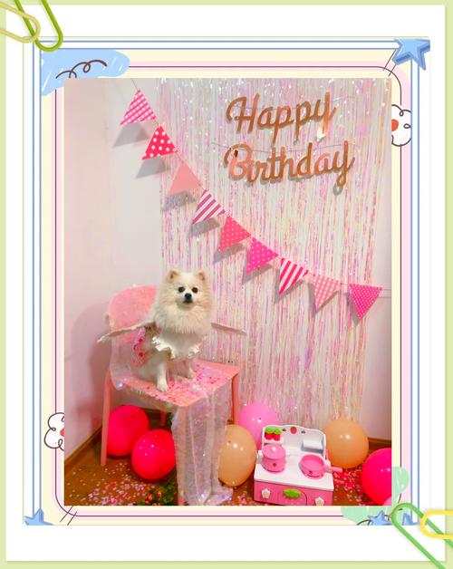 你是如何给宠物过生日的?