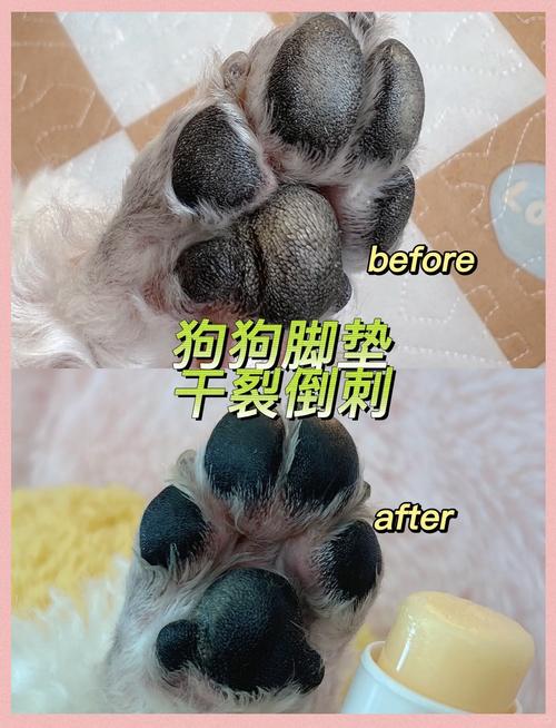 狗狗肉垫像倒刺的原因及处理方法