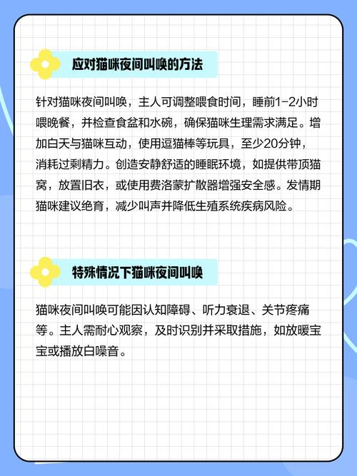 为什么小猫要死的时候一直叫