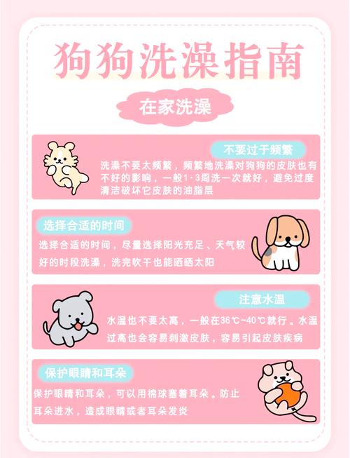 狗狗什么时候洗澡比较好