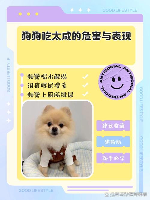 狗狗吃了过咸的会有什么反应