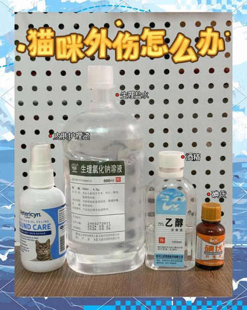 猫咪腿受伤了用什么药