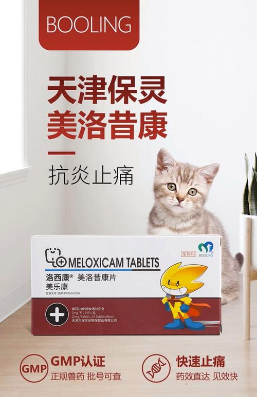 猫咪外伤用什么药?猫咪脚掌破了怎么办