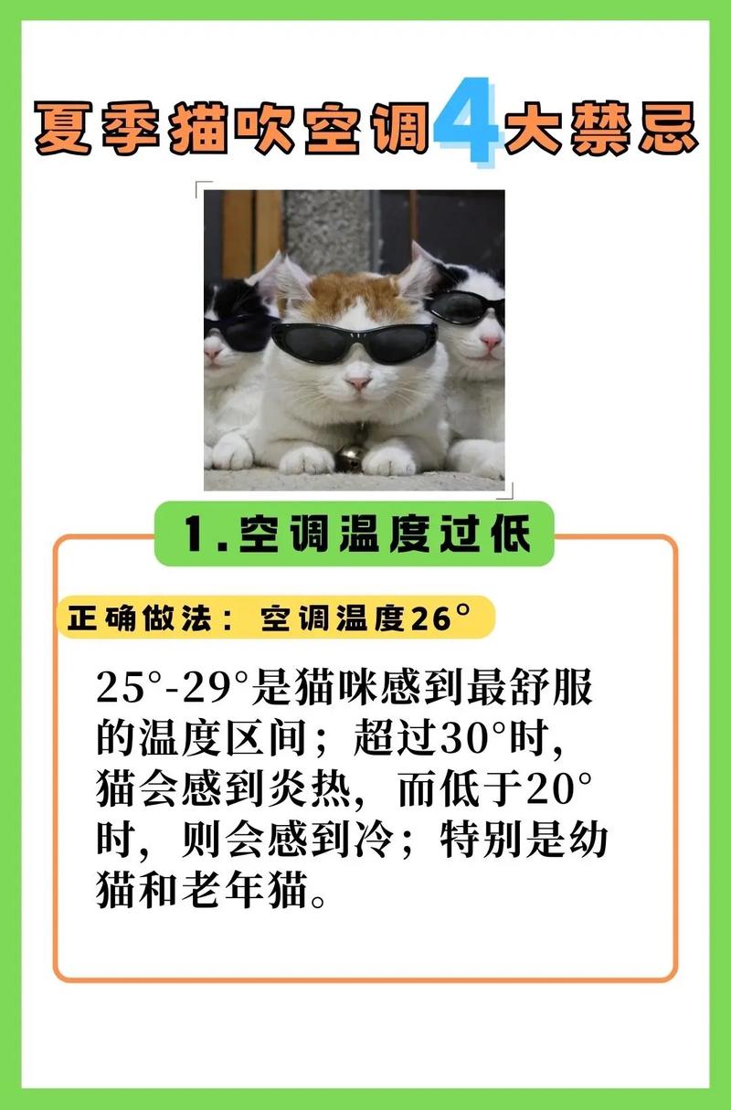 猫咪吹空调会有什么影响?