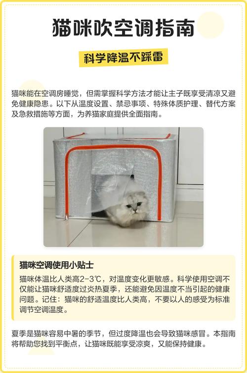 刚出生的小猫可以吹空调吗?
