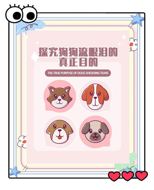 狗狗流眼泪是怎么回事